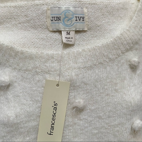 FRANCESCA’S Janette Pom Pom Pullover Sweater - Picture 7 of 8